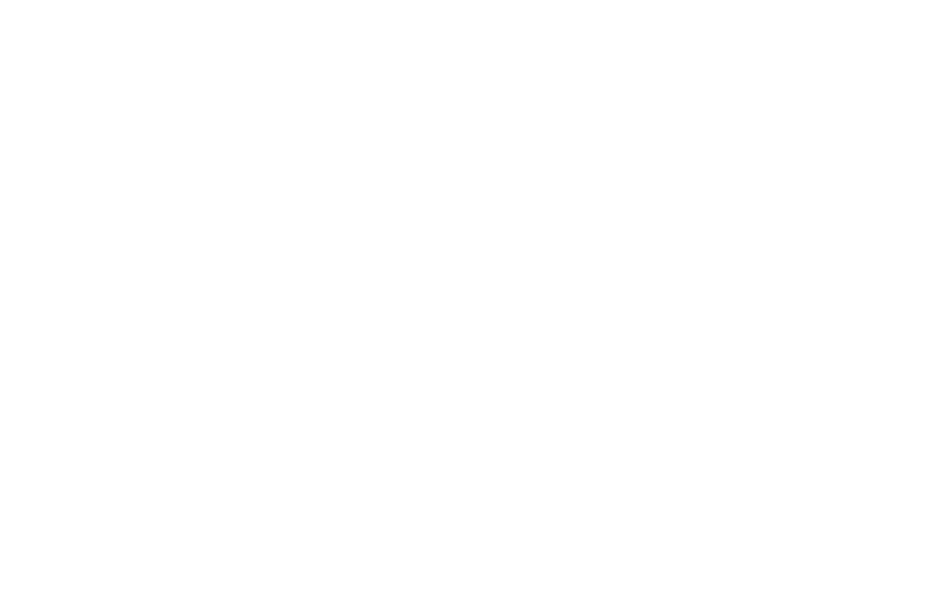 The Big Issue